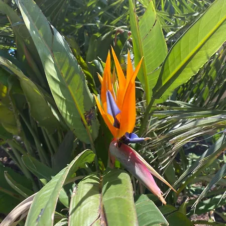 Aquarius In Cassis, D'hôtes Maison d'hôtes 3*