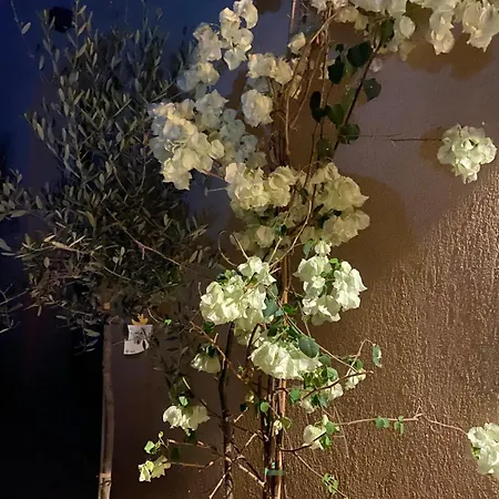 Aquarius In Cassis, D'hôtes Cassis